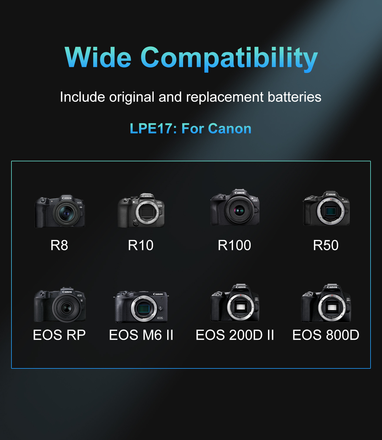 Caricabatterie doppio slot PD  - Canon Camera Eos R50 recensione e prezzo